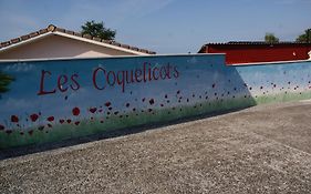 Les Coquelicots